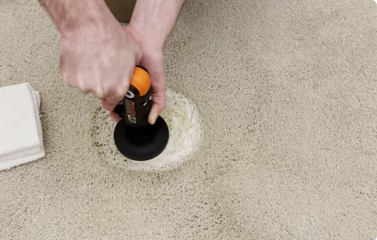 How to Remove Old Urine Stains from Carpet